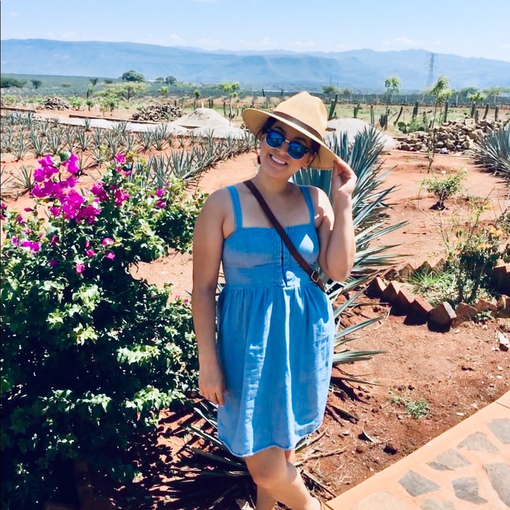 Denise 🌵🍃🌴🌲
